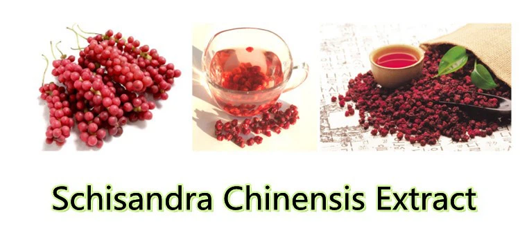 Schisandra Chinensis Extract.png